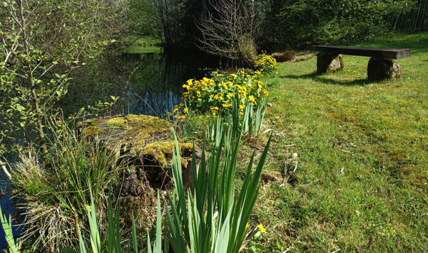 Lakeside picnic place