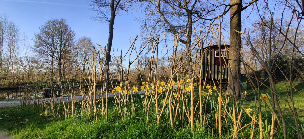 Shepherd's Hut back view