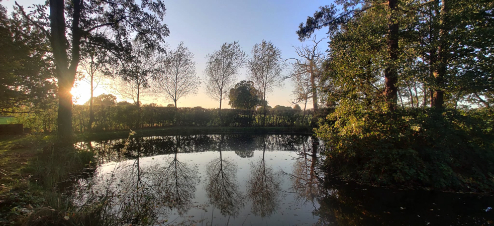 Lake view