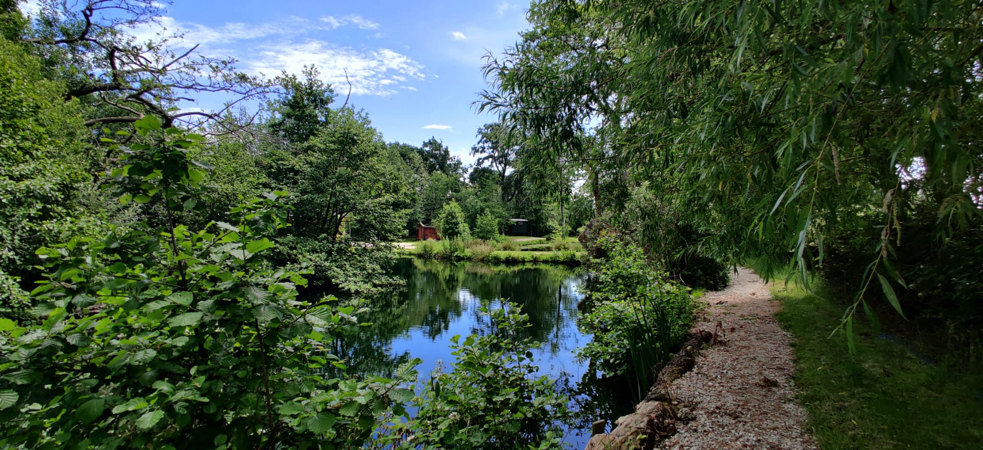 Lake view